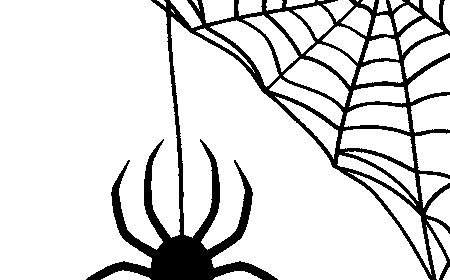 Escape the Facebook Trap: Reclaim Your Time, Freedom, and Voice with Program9.click